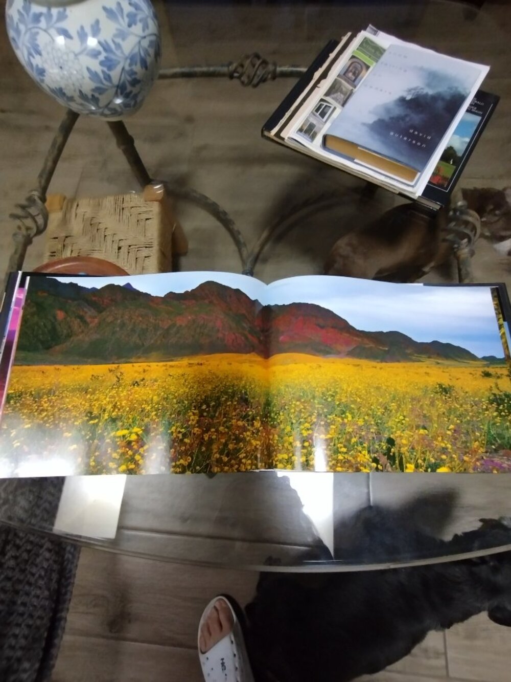 Coffee Table Book - Picture 3 of 5
